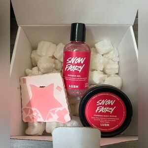 NEW Snow Fairy set